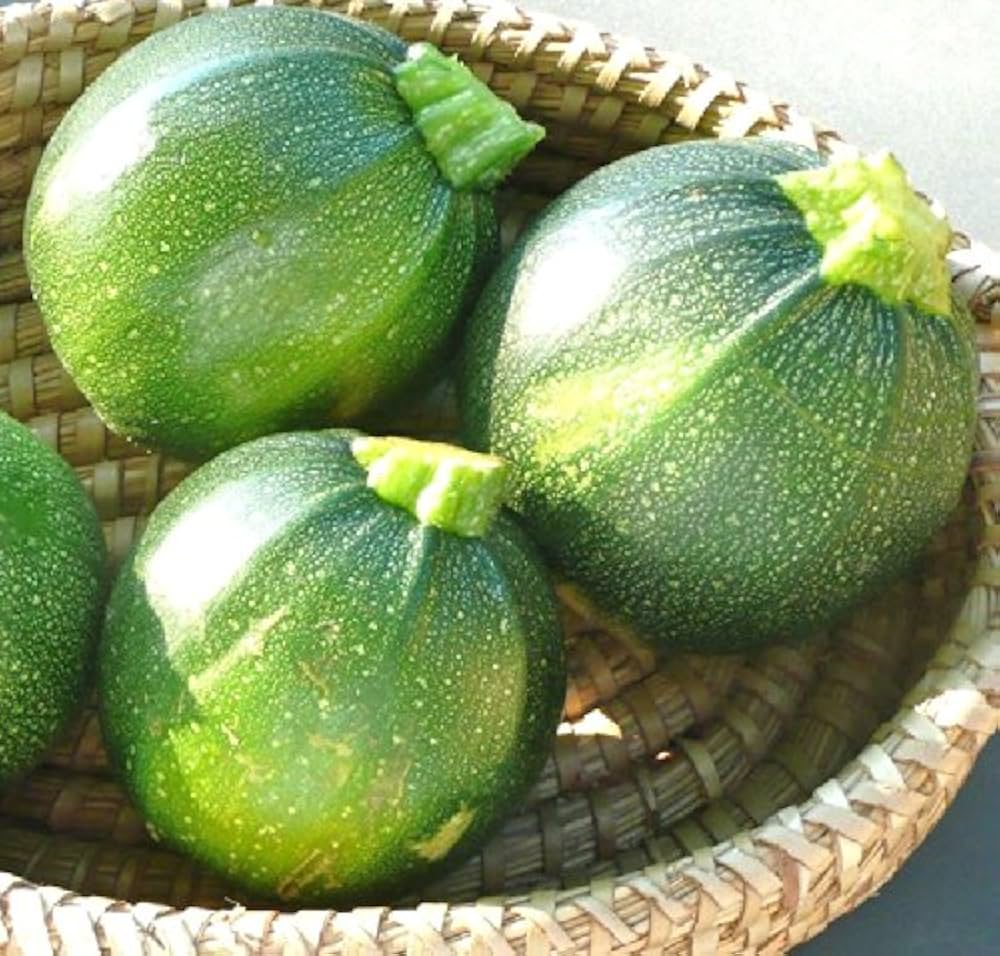 Chappan Kaddu (Squash)