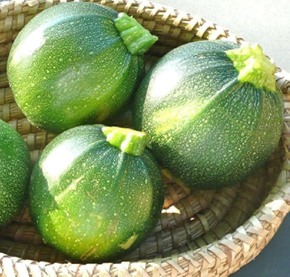 Chappan Kaddu (Squash)
