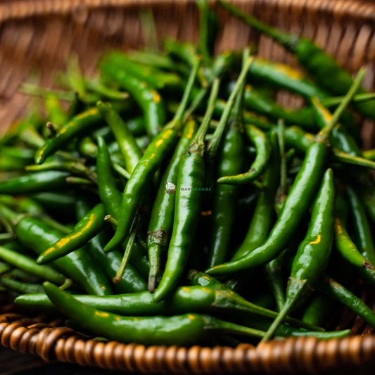 Indian Green Chili