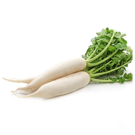 Mooli (White Radish) – Fresh & Organic