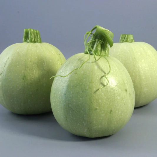 Chappan Kaddu (Squash)